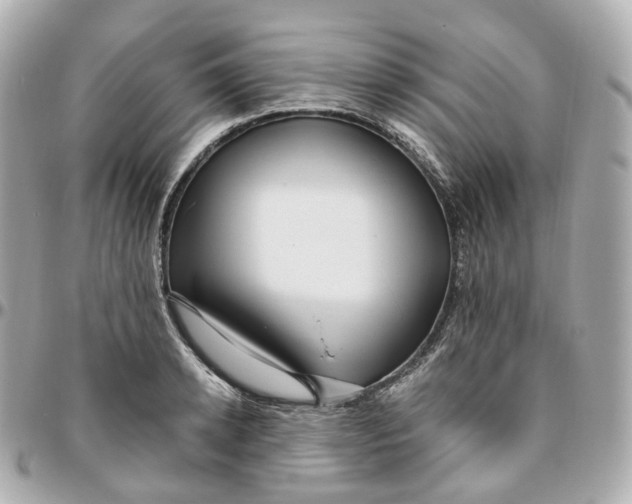 X0000095910942200802011147