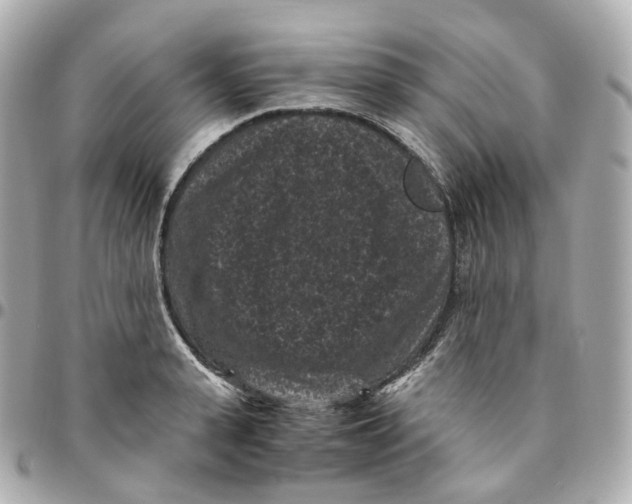 X0000095910943200802011147