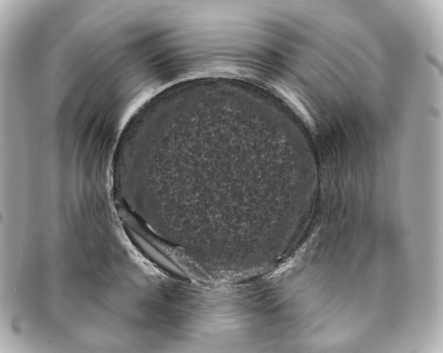 X0000095910944200802011147