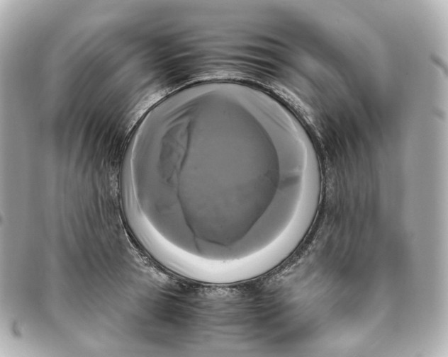 X0000095910945200802011147