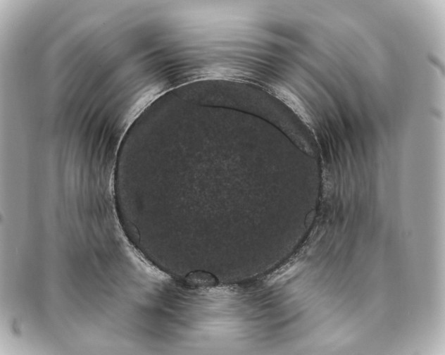 X0000095910946200802011147