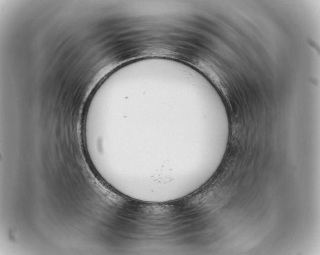 X0000095910947200802011147