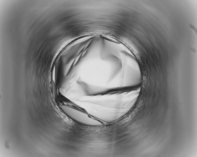 X0000095910948200802011147