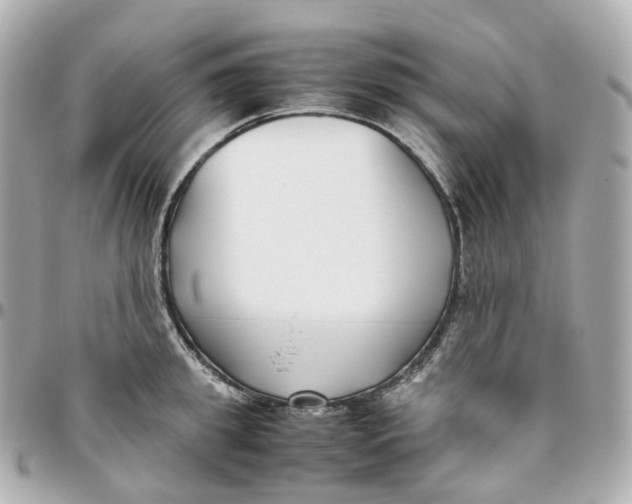 X0000095910949200802011147