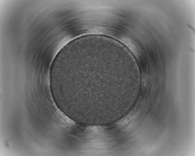 X0000095910950200802011147