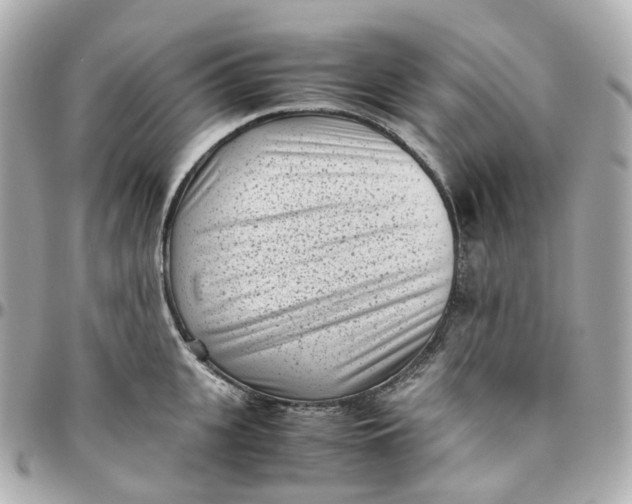 X0000095910951200802011147