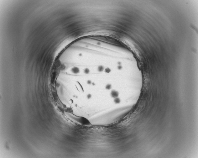 X0000095910952200802011147