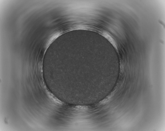 X0000095910954200802011147