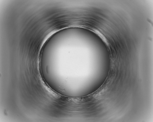 X0000095910955200802011147