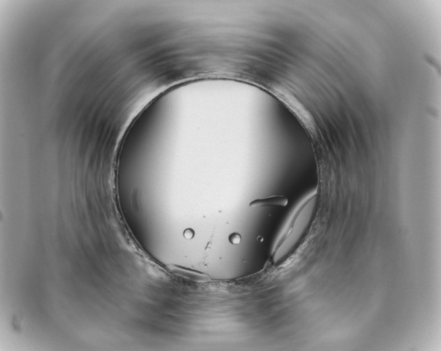 X0000095910956200802011147