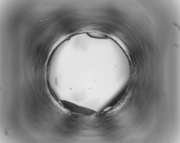 X0000095910957200802011147