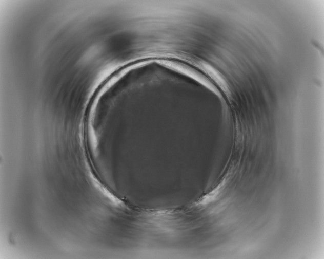 X0000095910958200802011147