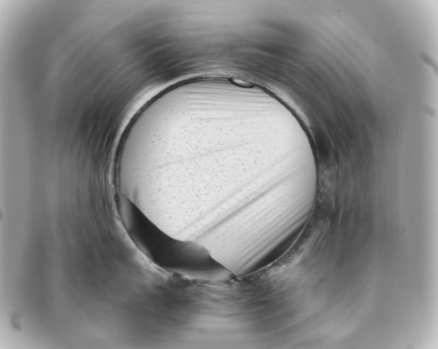 X0000095910959200802011147