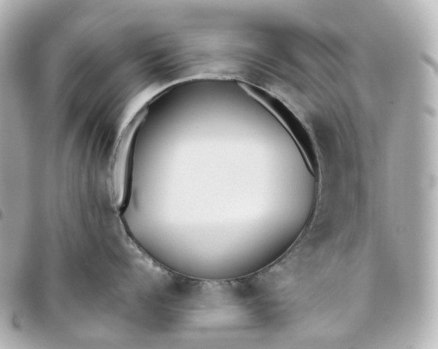 X0000095910960200802011147