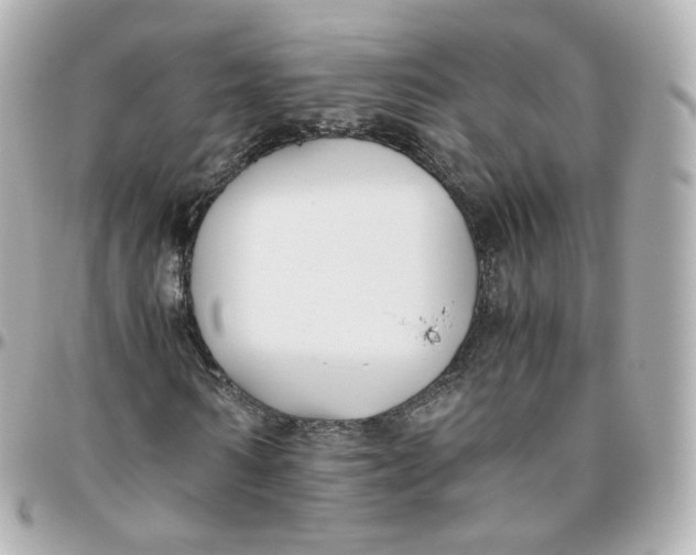 X0000095910962200802011147