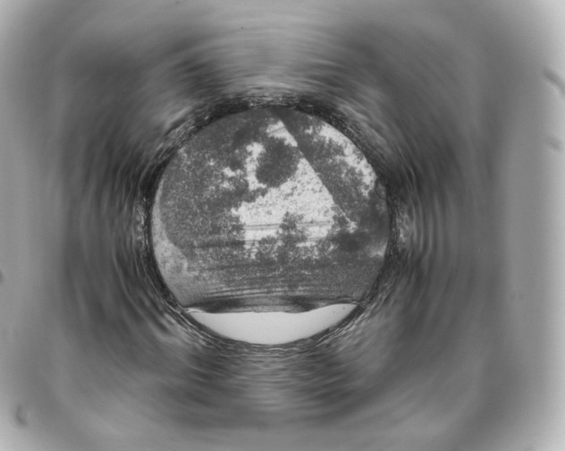 X0000095910964200802011147