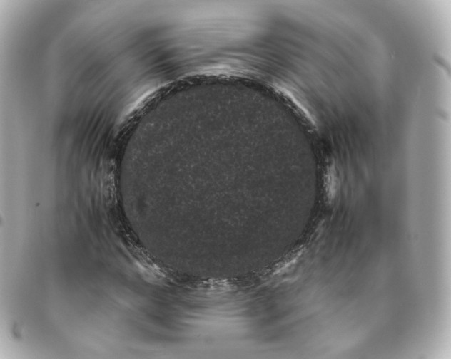 X0000095910968200802011147