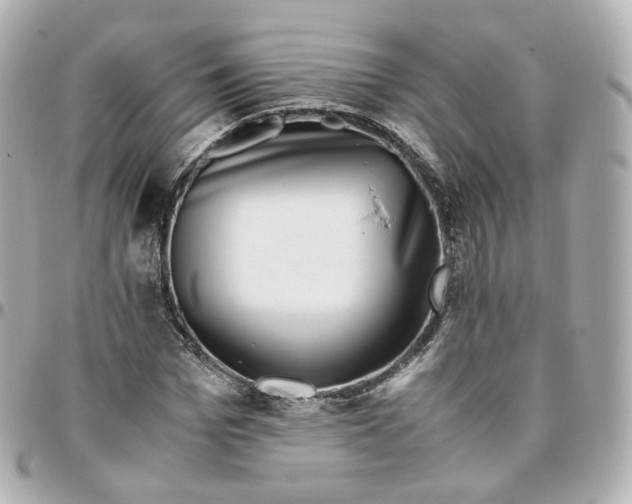 X0000095910969200802011147