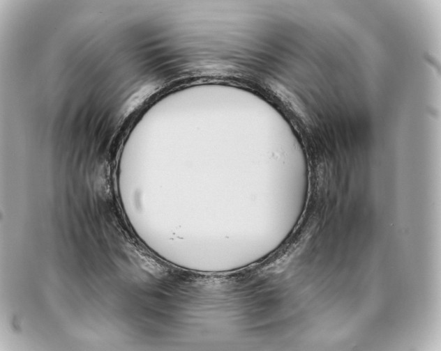 X0000095910970200802011147