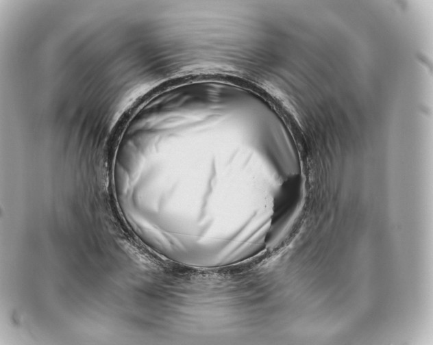 X0000095910973200802011147