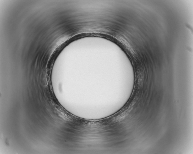 X0000095910974200802011147