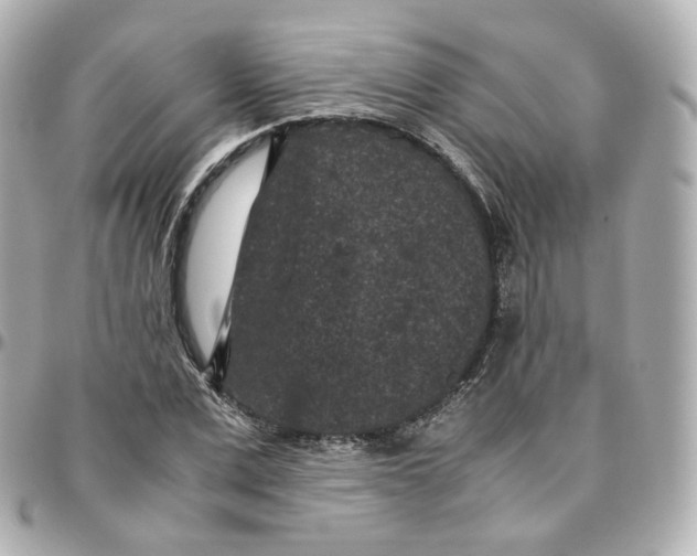 X0000095910975200802011147