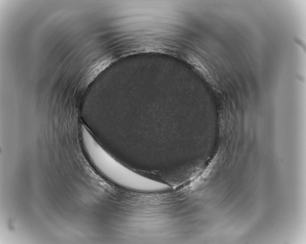 X0000095910977200802011147