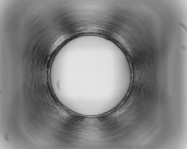 X0000095910978200802011147