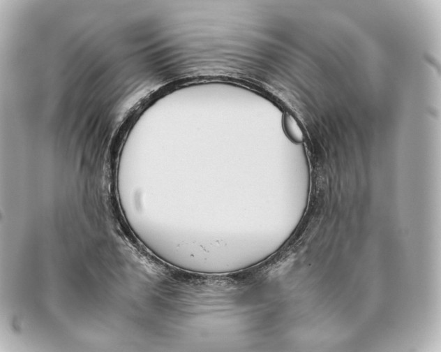 X0000095910979200802011147