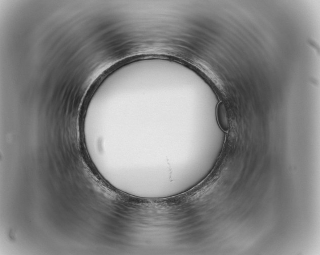 X0000095910980200802011147