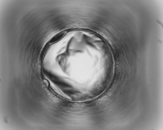 X0000095910981200802011147