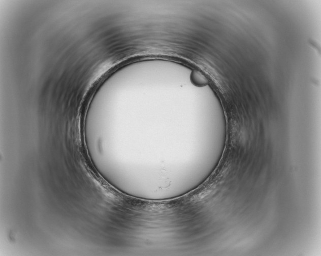 X0000095910982200802011147