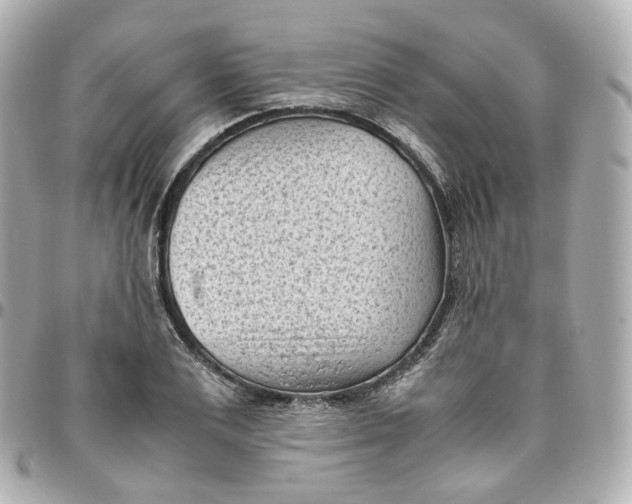 X0000095910983200802011147