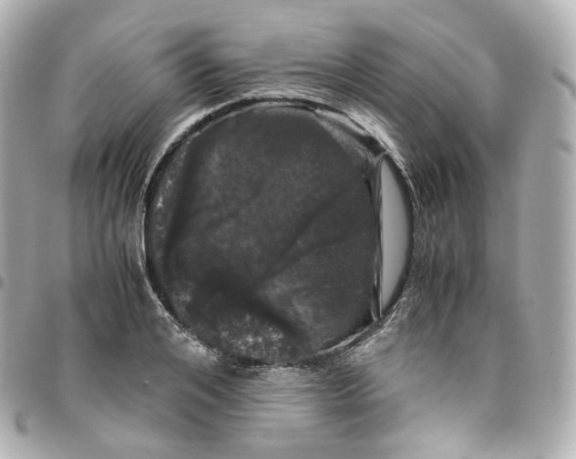 X0000095910984200802011147