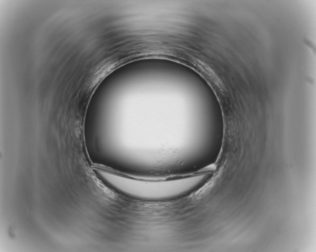 X0000095910985200802011147