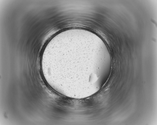 X0000095910987200802011146