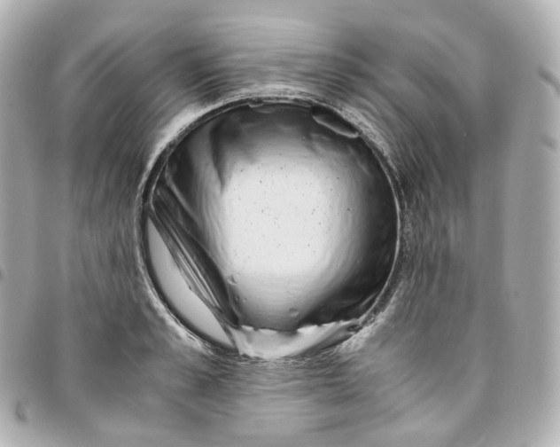 X0000095910989200802011146