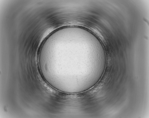 X0000095910990200802011146