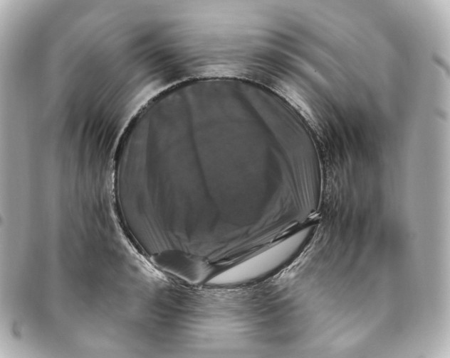 X0000095910992200802011146