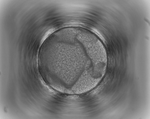 X0000095910994200802011146