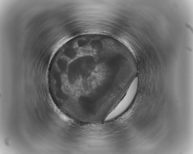 X0000095910995200802011146