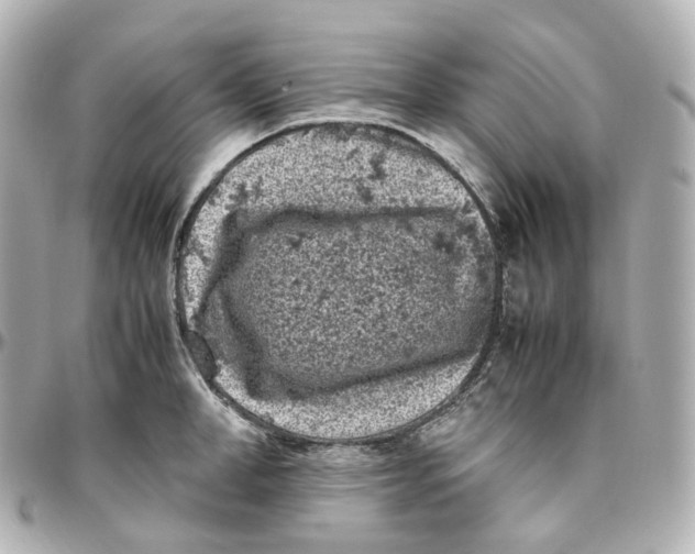 X0000095910998200802011146