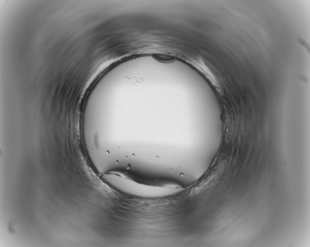 X0000095911000200802011146