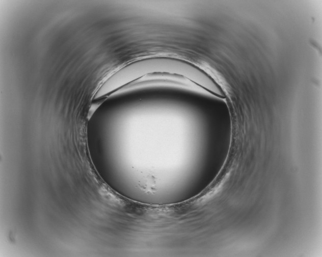 X0000095911001200802011146