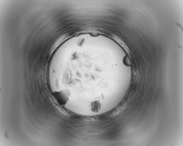 X0000095911002200802011146