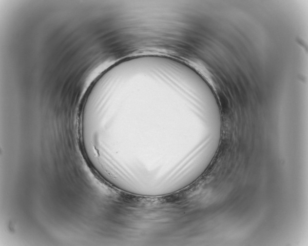 X0000095911003200802011146