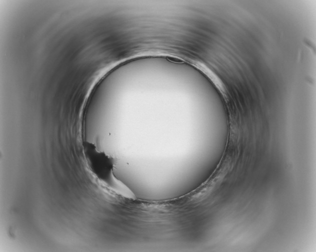 X0000095911004200802011146