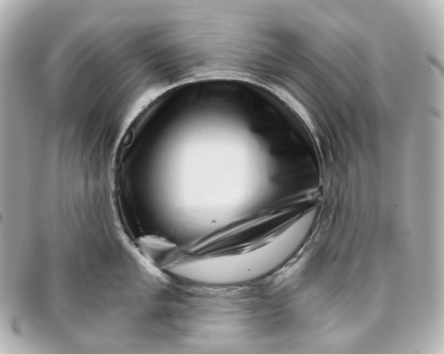 X0000095911005200802011146