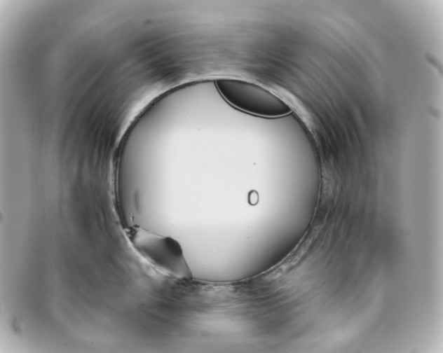 X0000095911006200802011146