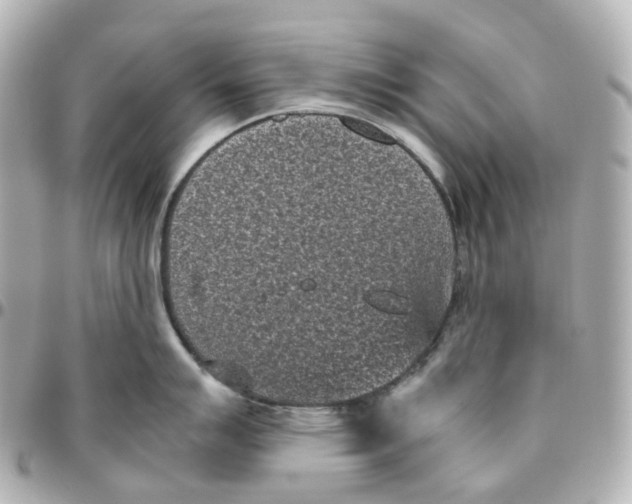 X0000095911007200802011146